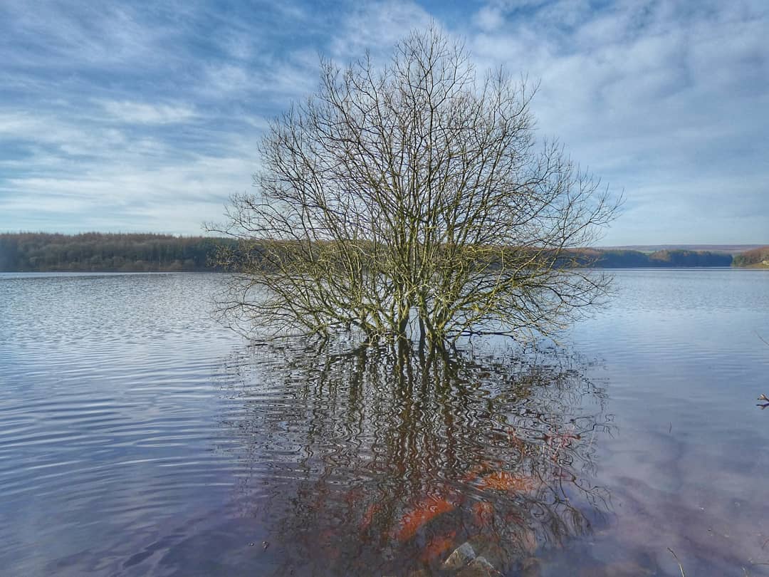 Flooded Lake