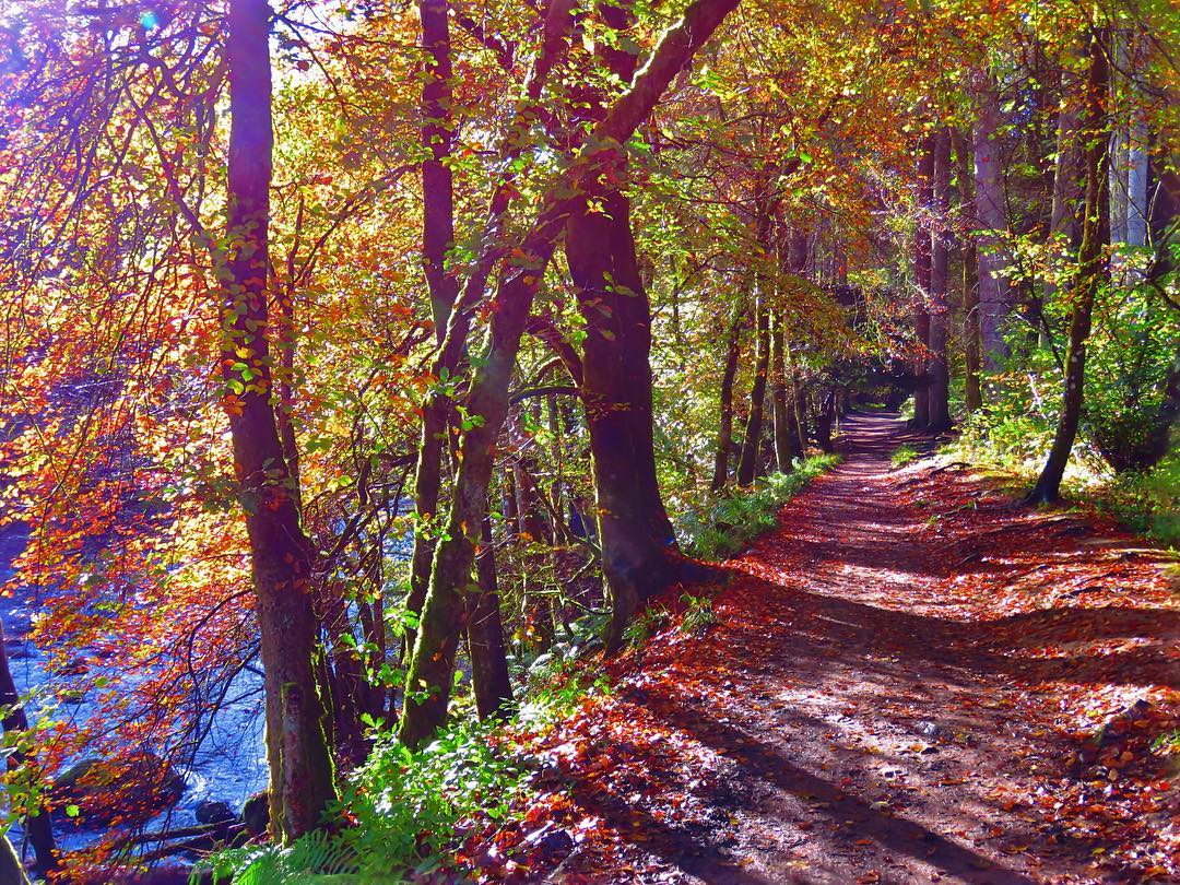 Autumn Riverside
